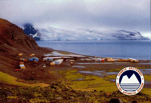 La base Arctowski, cliquez pour l'agrandir